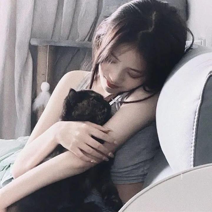 我的朋友叫哈维